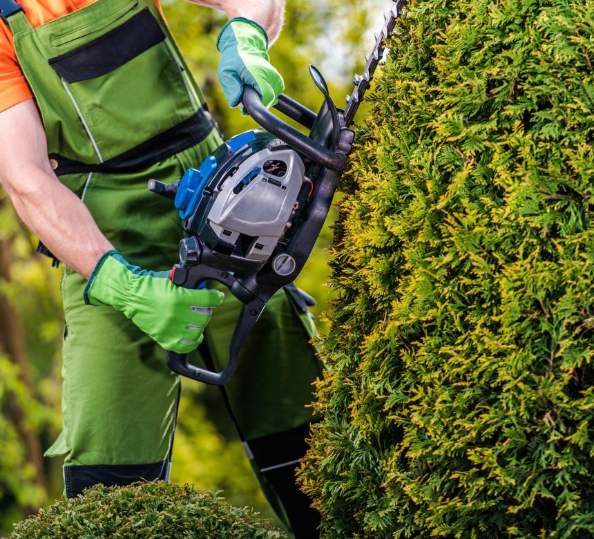 gardener-topiary-job.jpg
